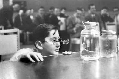 Boy Studying Tropical Fish