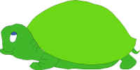 The turtle raising its head in objection