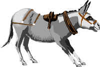 The donkey braying loudly
