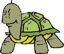 The turtle suggesting fighting fire with fire